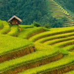 150x150 banaue rice terraces drawing - Banaue Rice Terraces Drawing