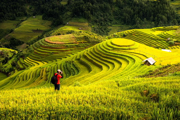 Banaue Rice Terraces Drawing at PaintingValley.com | Explore collection ...