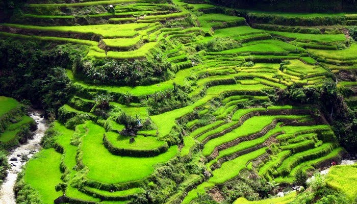 banaue rice terraces drawing easy Banaue rice terraces : after harvest