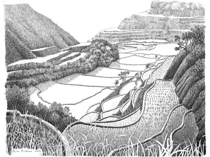 Banaue Rice Terraces Drawing At Explore Collection Of Banaue Rice Terraces 5283