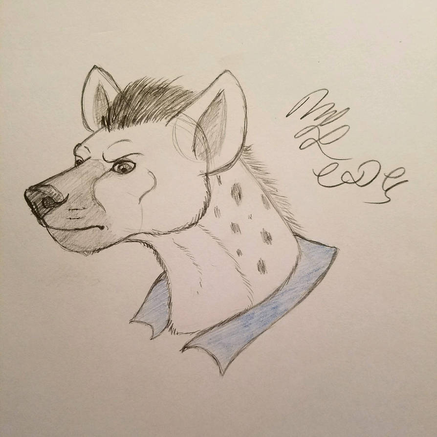 894x894 bandit drawing - Bandit Drawing