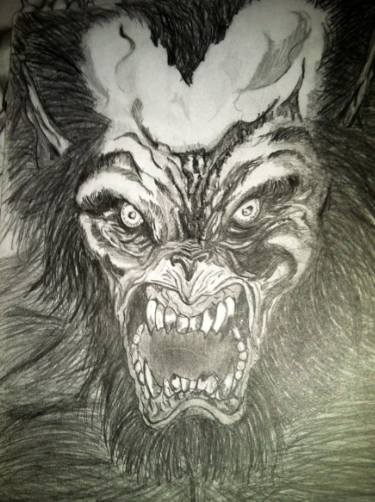 375x502 Wolves Bane Drawing - Bane Drawing