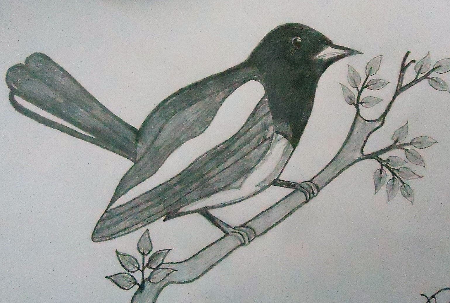 1539x1037 drawing express the unknown creativity steemit - Bangladesh Drawing