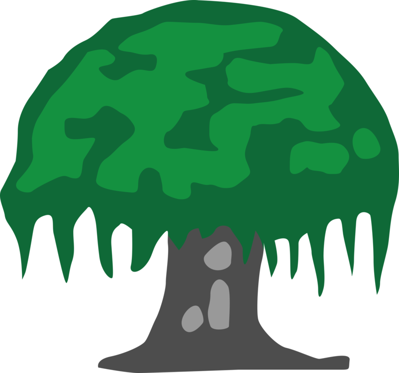 802x750 Drawing The Great Banyan Tree Pencil Cc0 - Banyan Tree Drawing