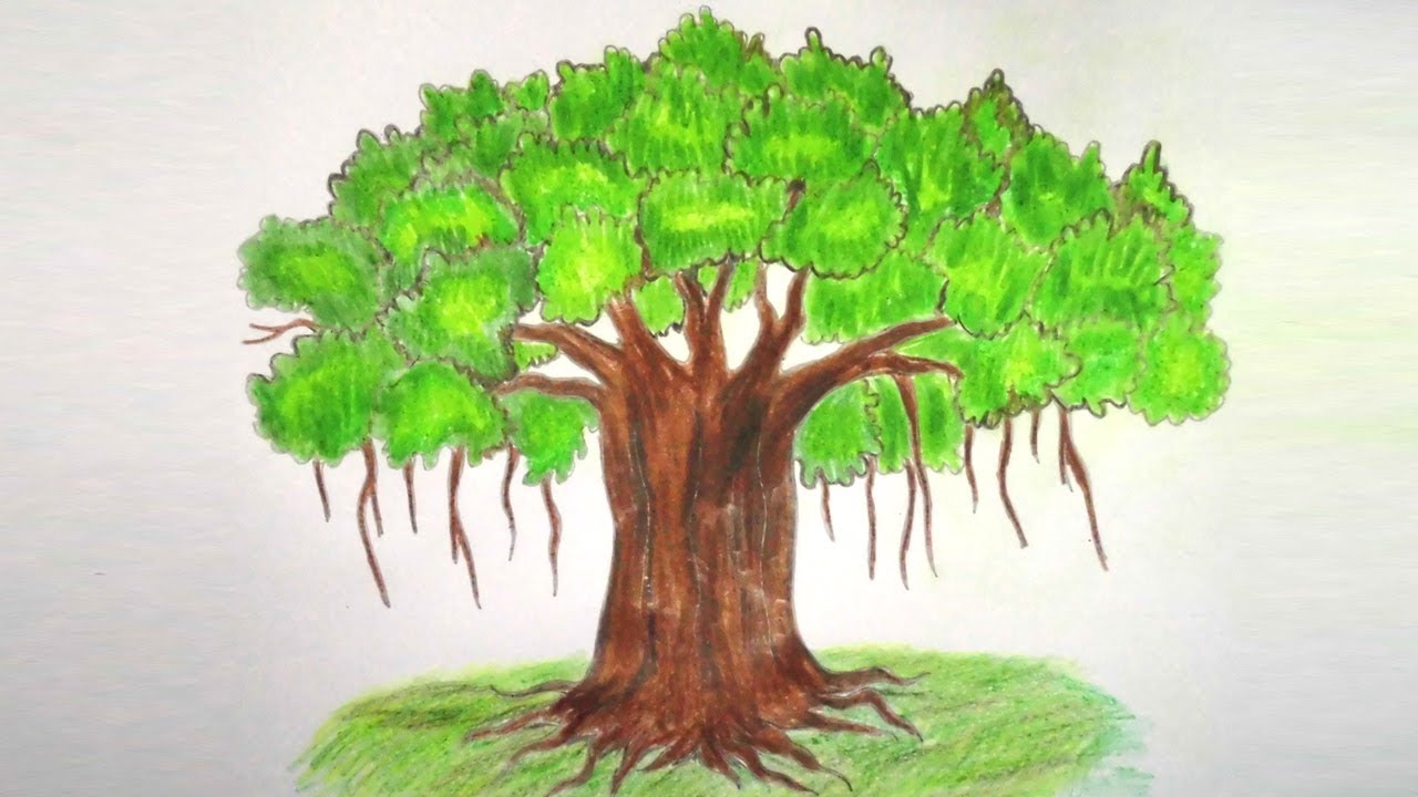 1280x720 How To Draw Banyan Tree Step - Banyan Tree Drawing
