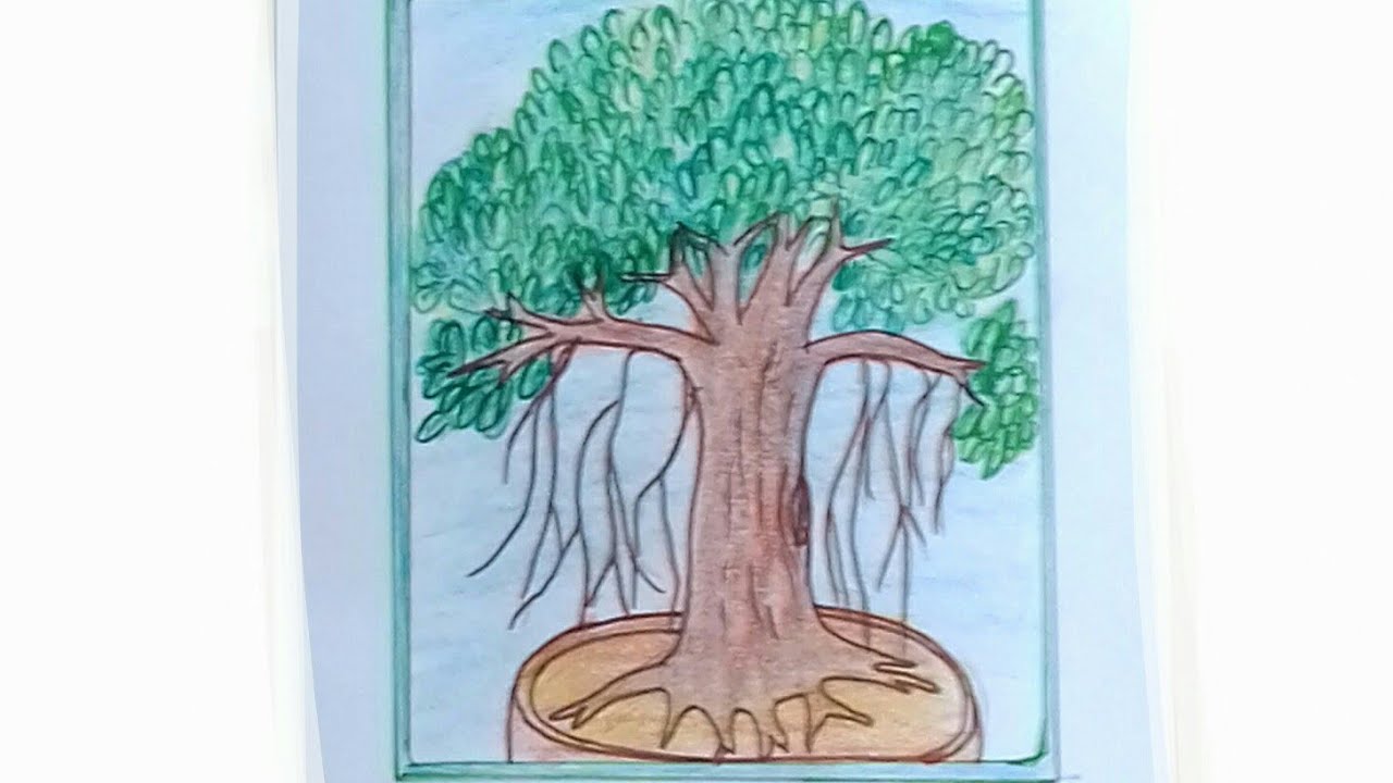 1280x720 How To Draw Banyan Tree - Banyan Tree Drawing