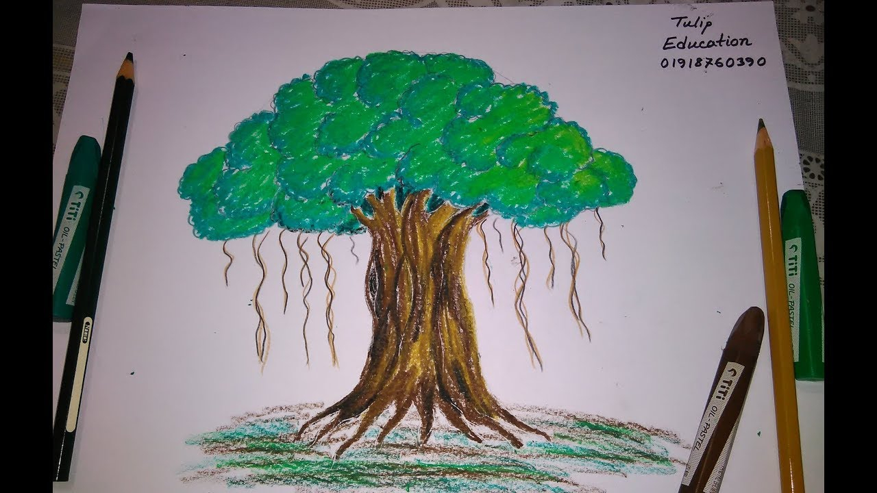 1280x720 Pencil Sketch Of Banyan Tree And How To Draw A Banyan Tree J - Banyan Tree Drawing