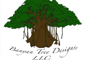 300x210 Leaf Images Rhdrawingslycom Sketches Photos Draw Best Drawing - Banyan Tree Drawing