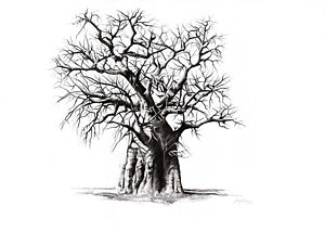 300x213 Baobab Tree Drawings Fine Art America - Baobab Tree Drawing