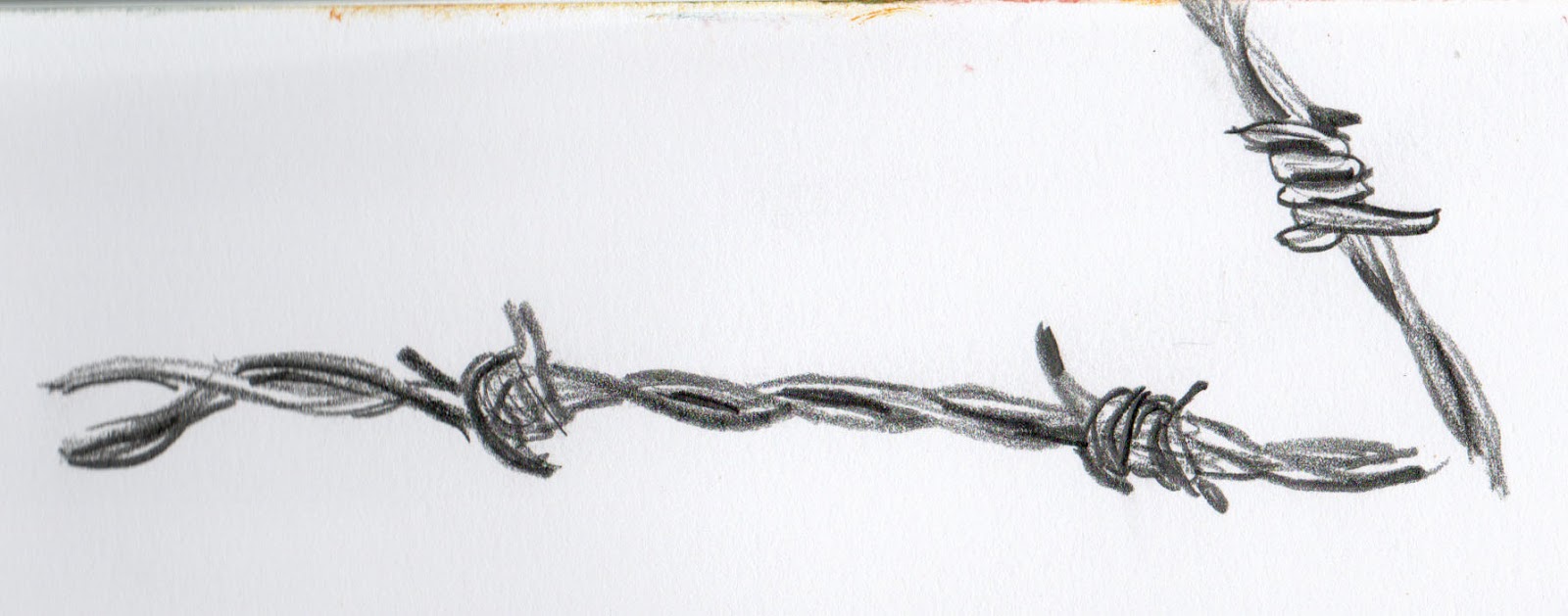 1600x629 hazel twig barbed wire - Barbed Wire Drawing