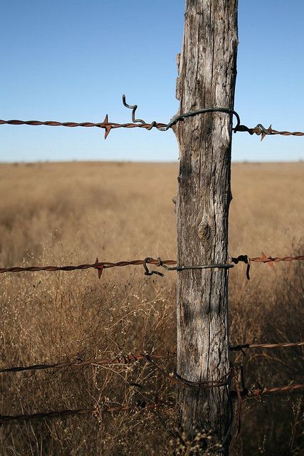 427x640 barbed wire fence i'd love to draw this diyampart inspiration - Barbed Wire Fence Drawing
