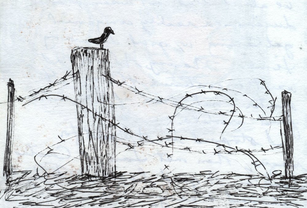 Inktracks Imagining A Fence - Barbed Wire Fence Drawing. 