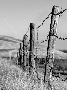 285x380 barb wire fence clip art barbed wire fence photo credit - Barbed Wire Fence Drawing
