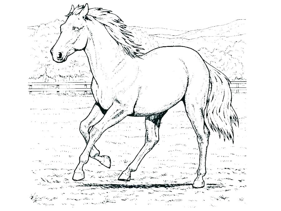 900x675 Barbie Drawing With Colour Games And Painting Coloring Horse Pages - Barbie Drawing Games