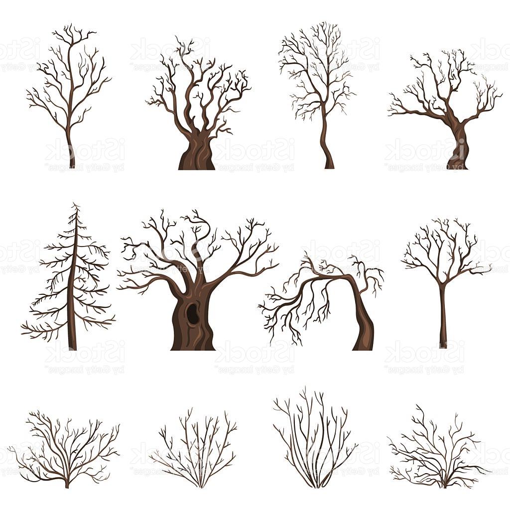 Bare Tree Drawing at PaintingValley.com | Explore collection of Bare ...