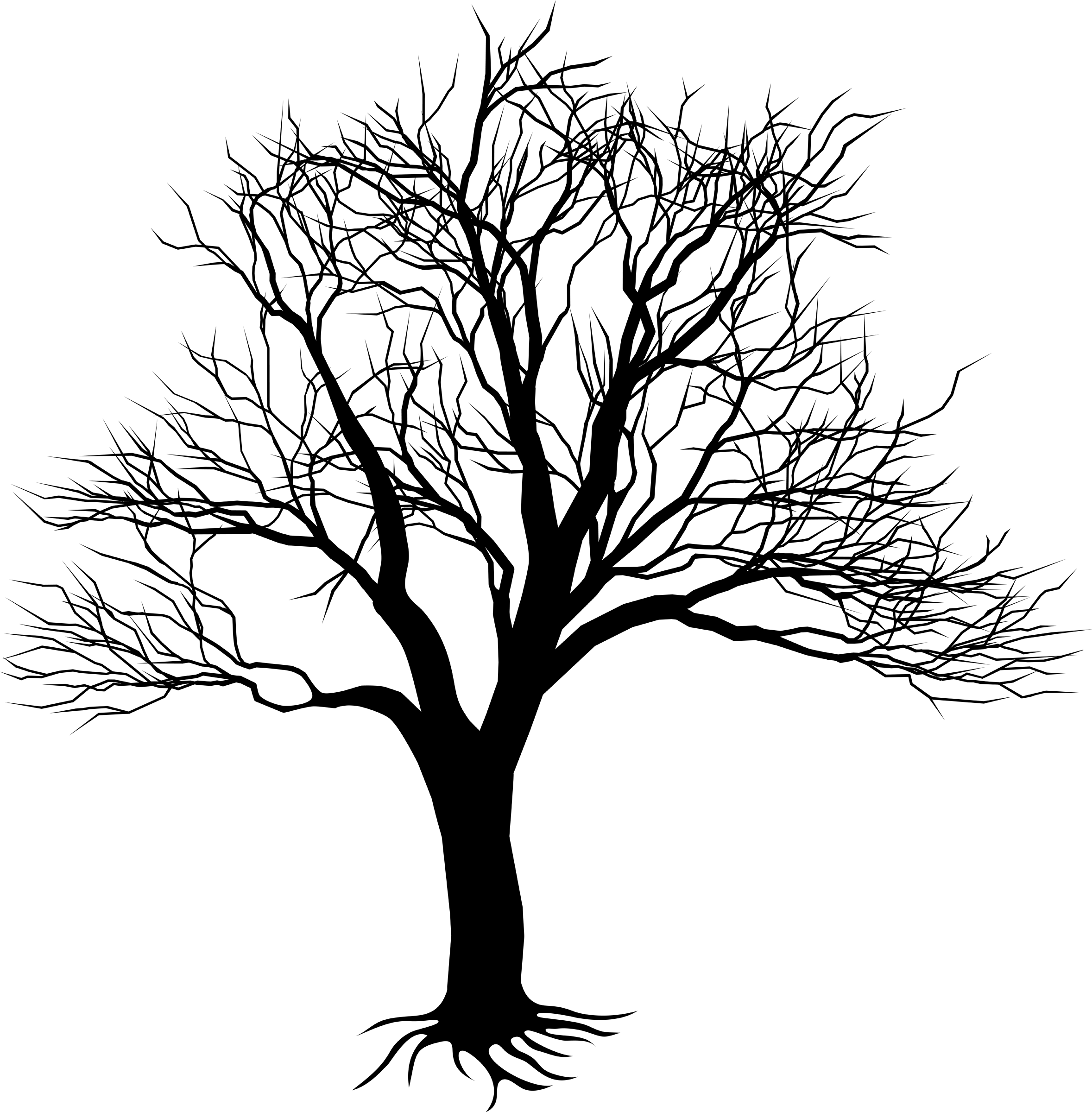 2357x2400 drawing of tree on wall - Bare Tree Drawing