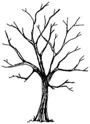 181x250 christmas crafting art, tree outline - Bare Tree Drawing