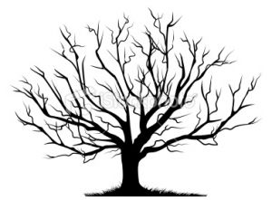 300x221 bare tree drawing - Bare Tree Drawing