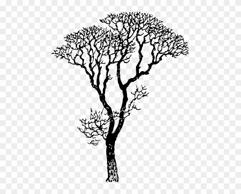 840x677 bare tree clip art - Bare Tree Drawing