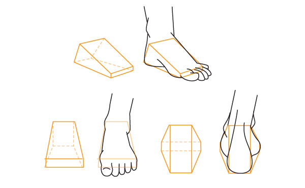 600x370 Human Anatomy Fundamentals How To Draw Feet - Barefoot Drawing