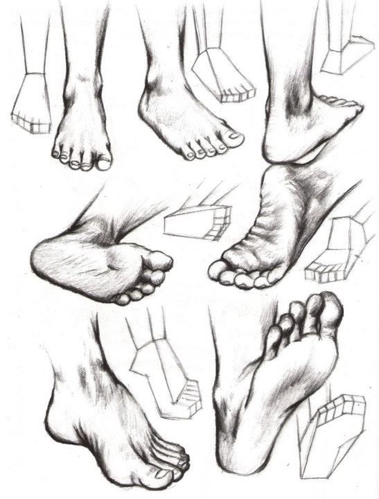547x720 how to draw feet sarah, just in case you wanted a foot mural - Barefoot Drawing
