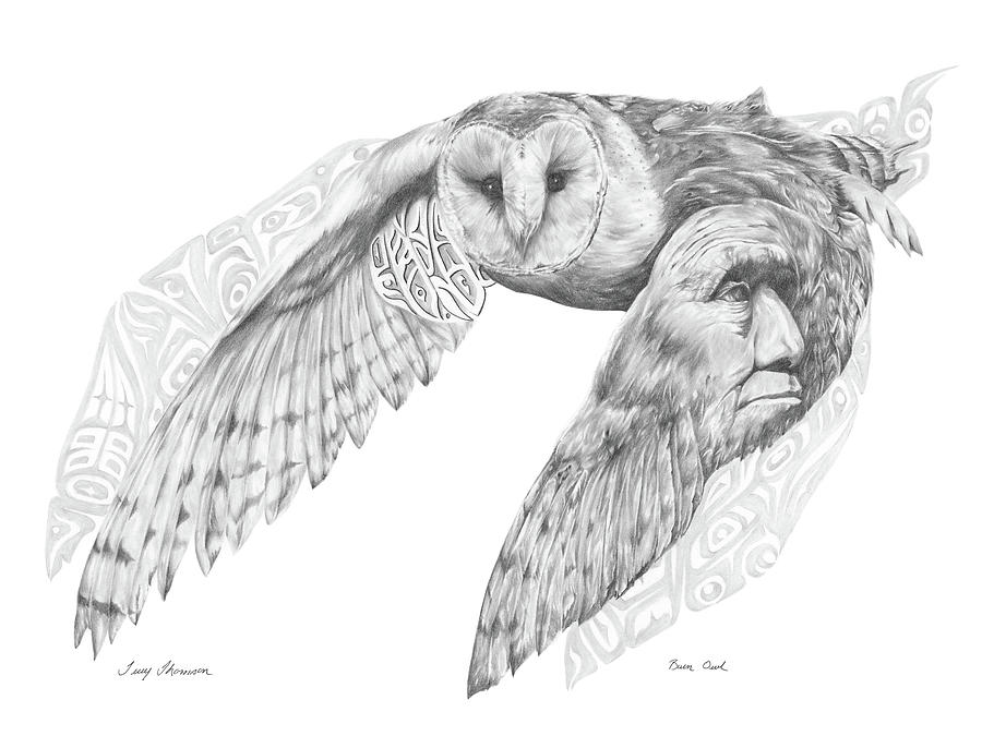 900x675 Barn Owl Drawing - Barn Owl Drawing