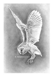 212x300 The Prophet The Barn Owl - Barn Owl Drawing