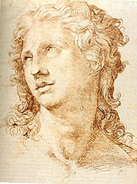 270x362  - Baroque Drawing