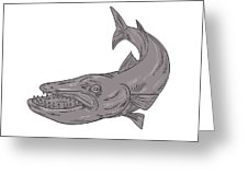 226x170 Barracuda Swimming Down Drawing Digital Art - Barracuda Drawing