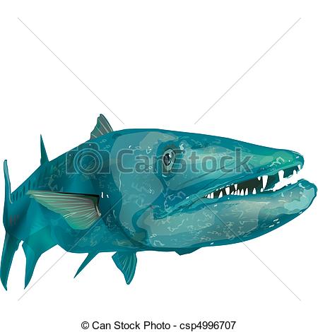 450x470 Barracuda Swimming - Barracuda Drawing