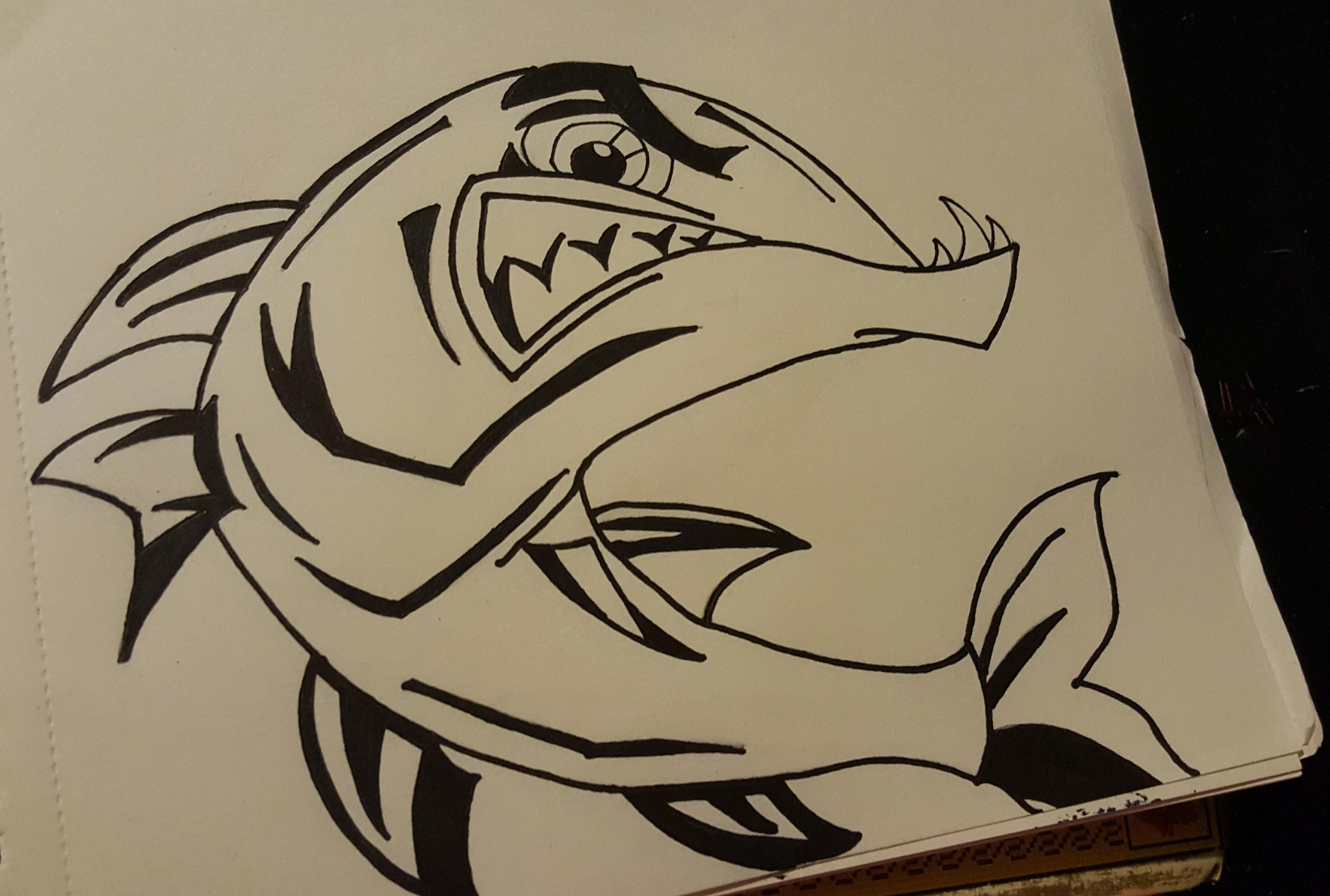 Barracuda Drawing at Explore collection of