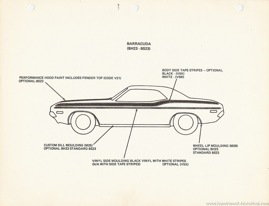 1024x785 Barracuda Fish Coloring - Barracuda Drawing
