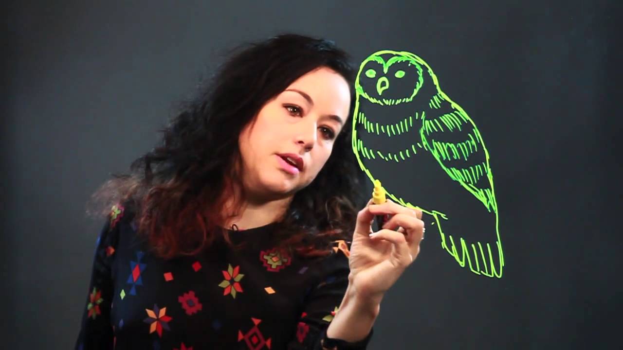 1280x720 how to draw a barred owl - Barred Owl Drawing