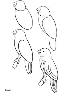 235x327 How To Draw A Bird, Step - Basic Bird Drawing