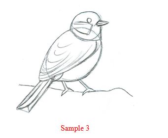 341x281 How To Draw A Bird - Basic Bird Drawing