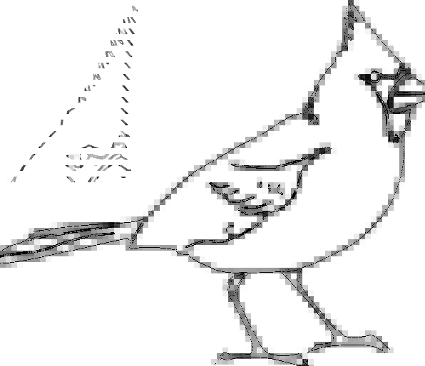 596x514 Bird, Fowl, Basic, Songbird, Cardinal, Drawing, Beak, Bill - Basic Bird Drawing