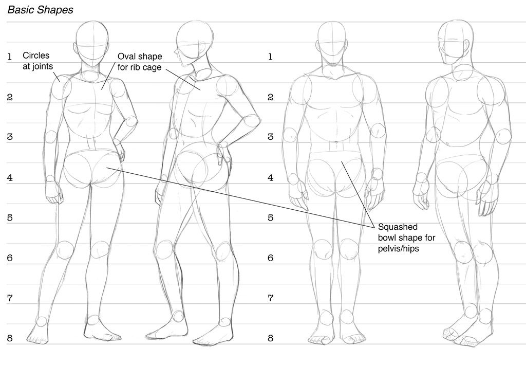 1024x710 How To Draw Comics Character Design Drawing The Figure Dirk I - Basic Body Drawing