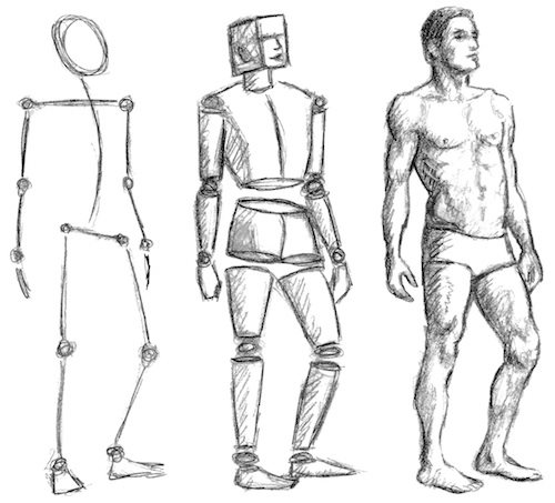 500x453 Human Anatomy Fundamentals Basic Body Proportions Figure Drawing - Basic Body Drawing