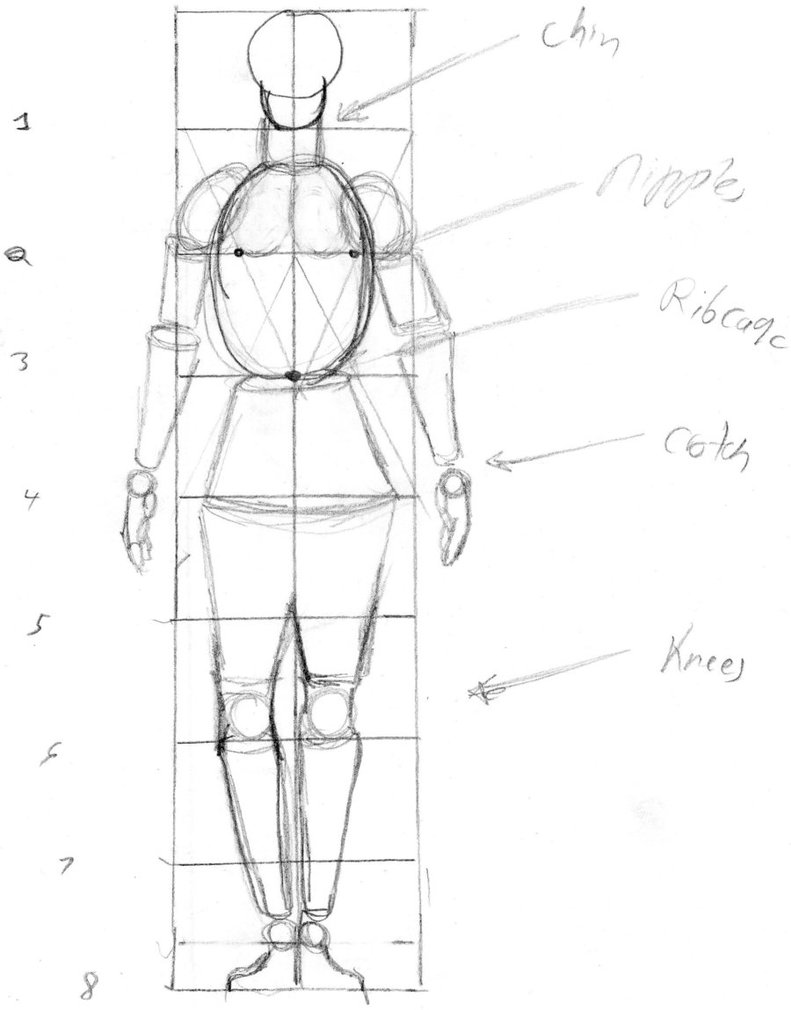 791x1010 Drawing Basics Body For Free Download - Basic Body Drawing