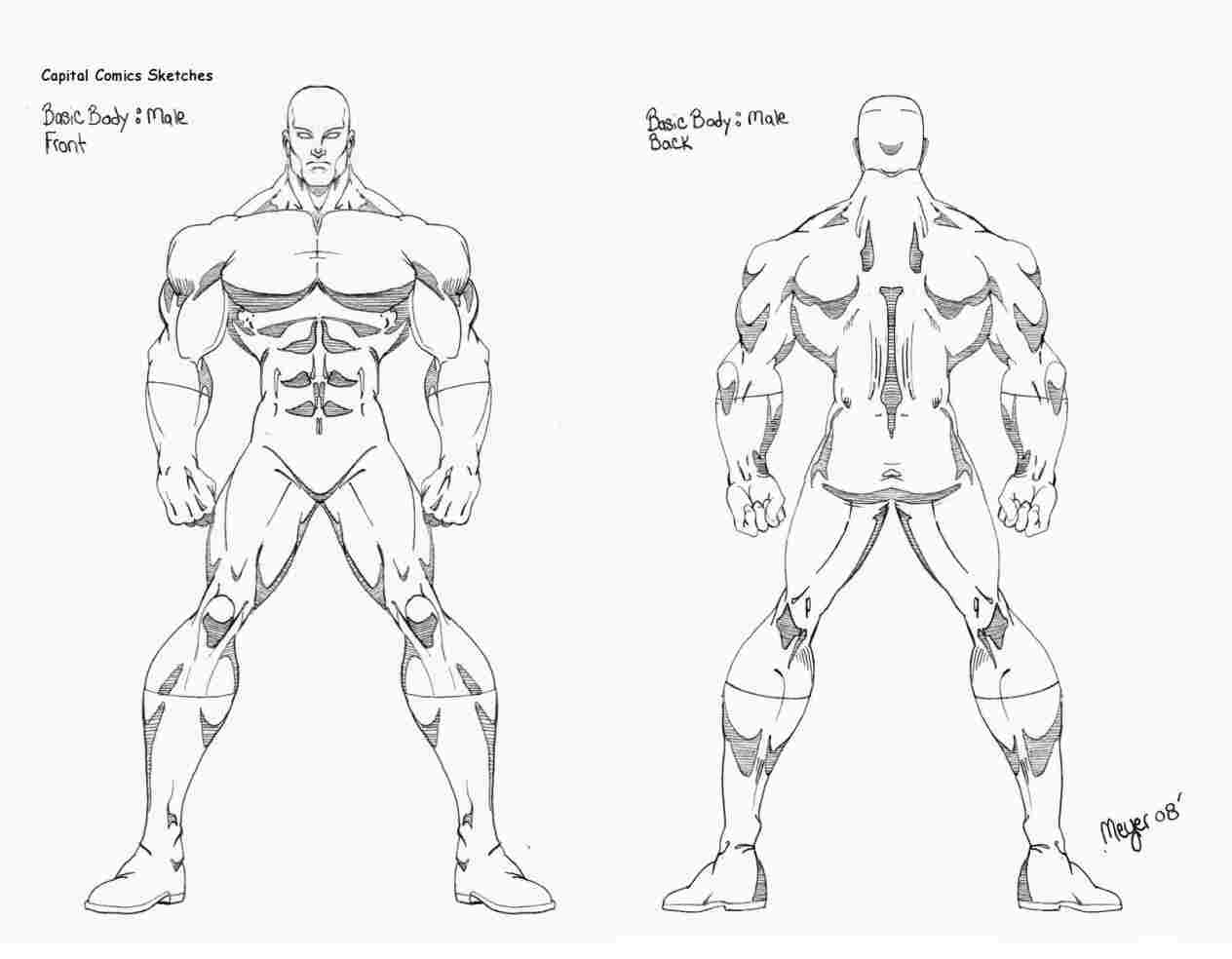 1264x984 Hero Basic Body Drawing Sketch Male - Basic Body Drawing