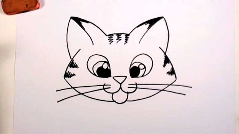 800x450 How To Draw A Wildcat Face Kids Origami Papers - Basic Cat Drawing