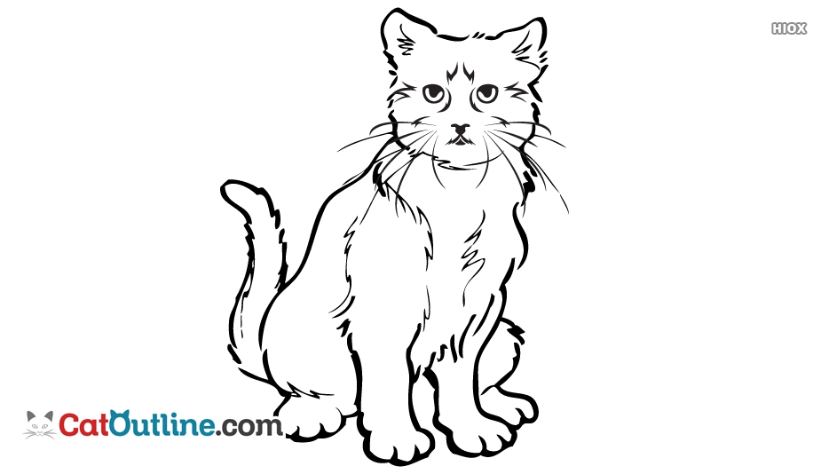 934x534 Basic Cat Outline Images - Basic Cat Drawing