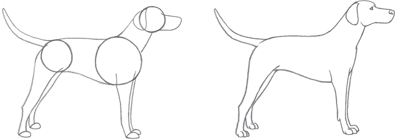 770x274 Getting Started - Basic Dog Drawing