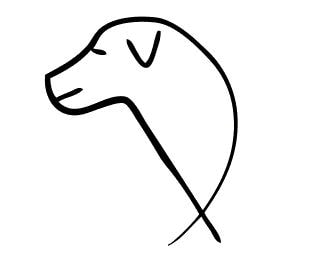 336x272 happy dog basic obedience - Basic Dog Drawing