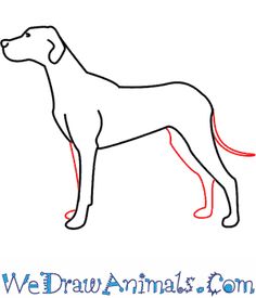 236x275 How To Draw Dog Paw Prints Steps - Basic Dog Drawing