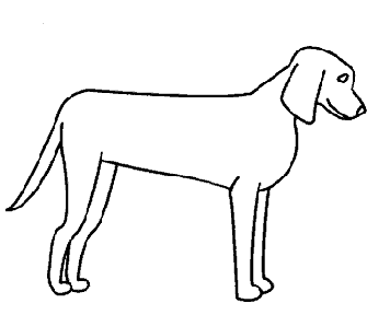 335x288 How To Draw Dogs - Basic Dog Drawing
