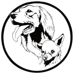 250x250 beyond basic dog training - Basic Dog Drawing