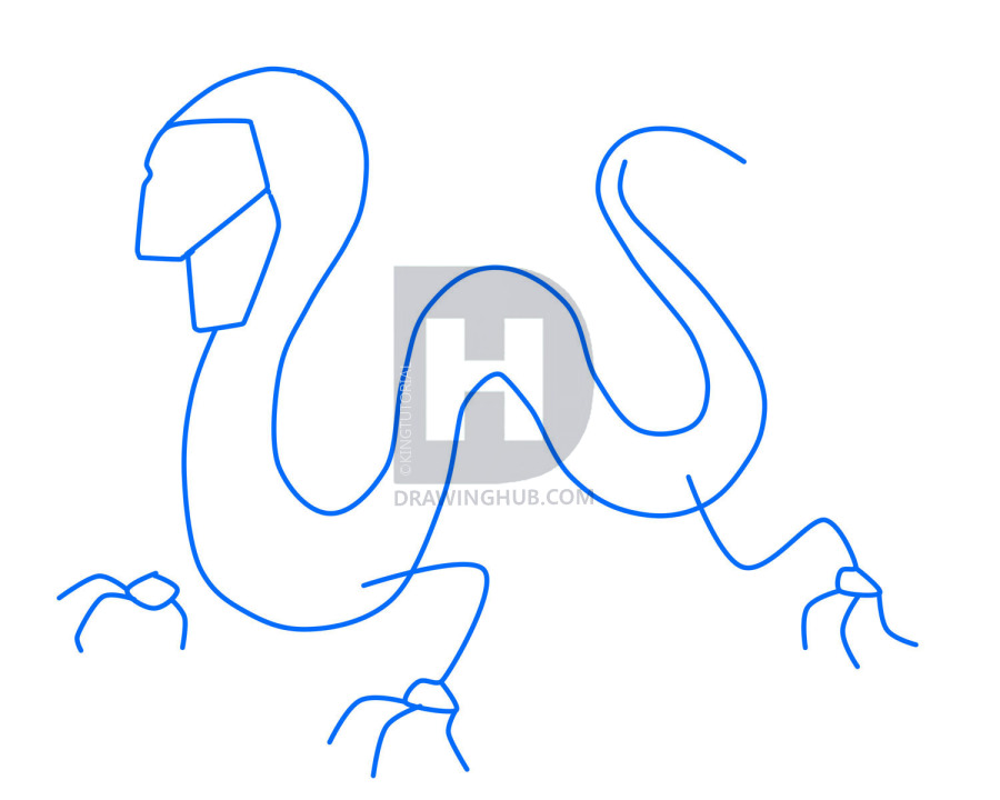 900x720 How To Draw A Japanese Dragon, Step - Basic Dragon Drawing