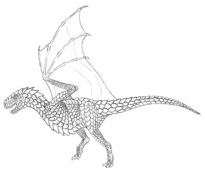 688x576 How To Draw Dragons Step - Basic Dragon Drawing