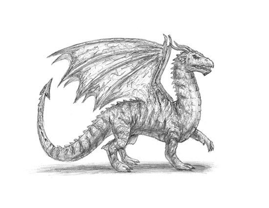 550x425 How To Draw A Dragon - Basic Dragon Drawing